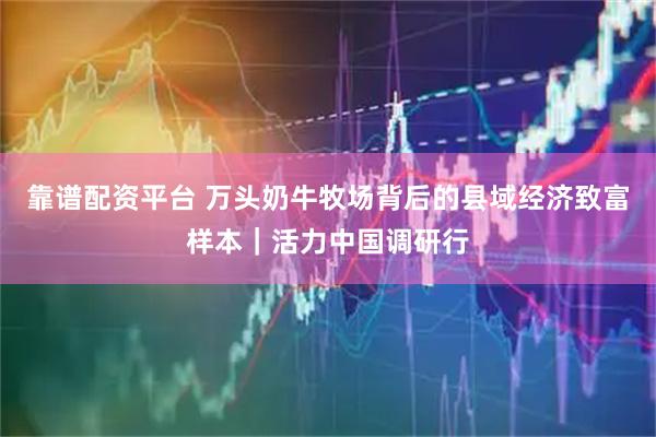 靠谱配资平台 万头奶牛牧场背后的县域经济致富样本｜活力中国调研行