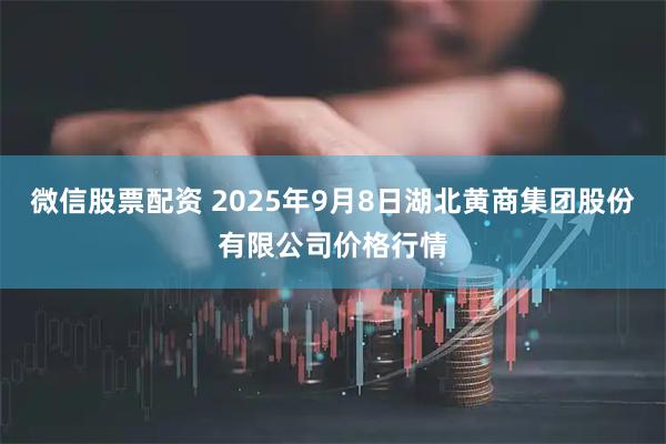 微信股票配资 2025年9月8日湖北黄商集团股份有限公司价格行情