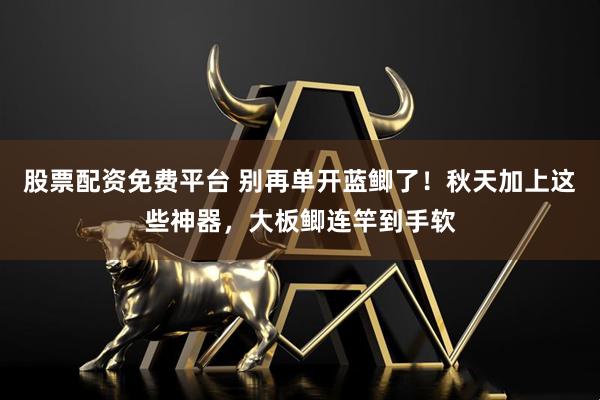 股票配资免费平台 别再单开蓝鲫了！秋天加上这些神器，大板鲫连竿到手软